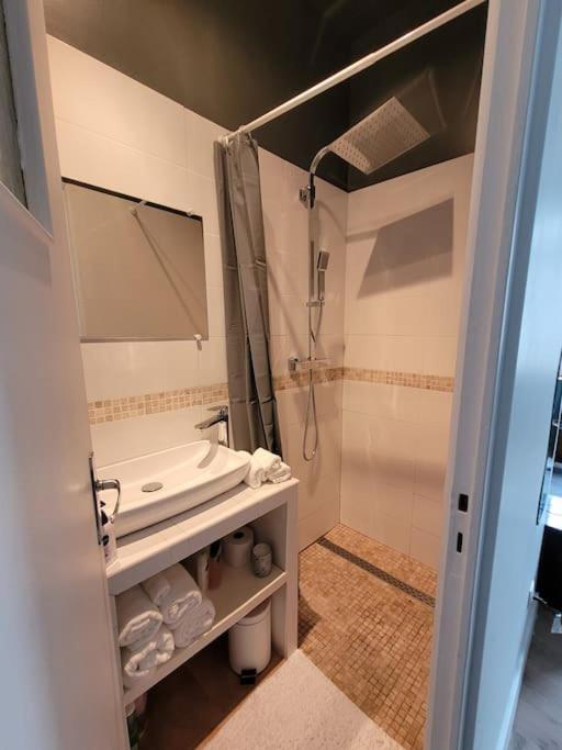 מונטרז'י Studio Prive Centre Saint Louis מראה חיצוני תמונה